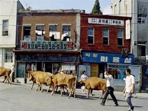 芯片|华为芯片即将断供？50年前，韩国曾为了芯片拼尽所有