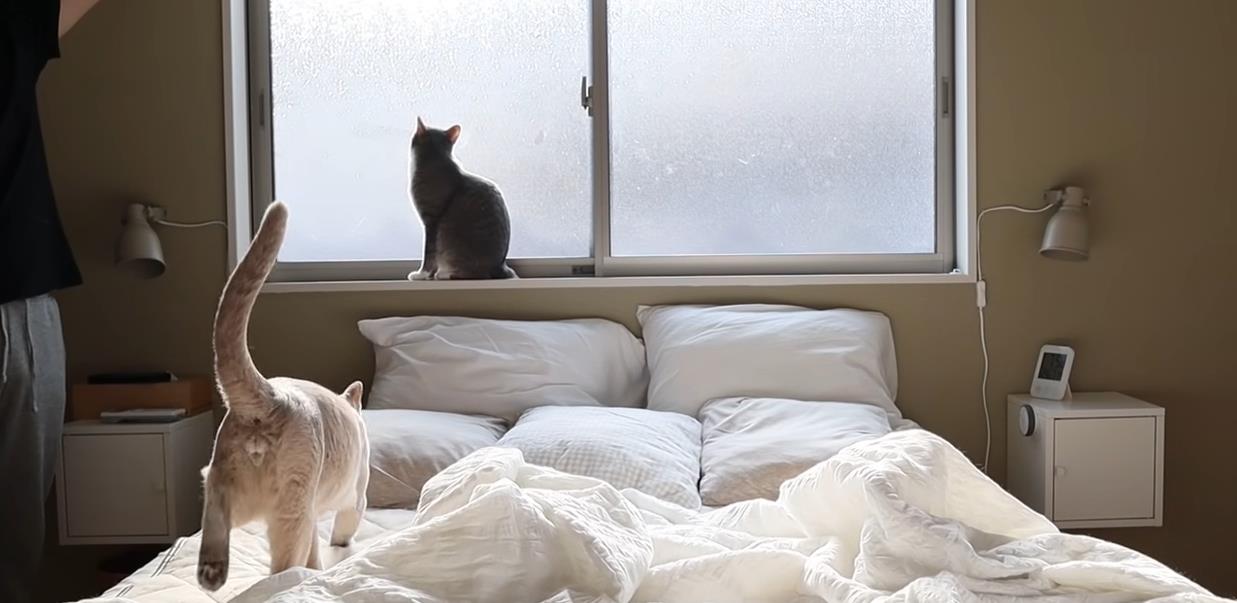 【】日本一主妇靠晒“家居照”挣钱，这样的生活，也太令人羡慕了吧？