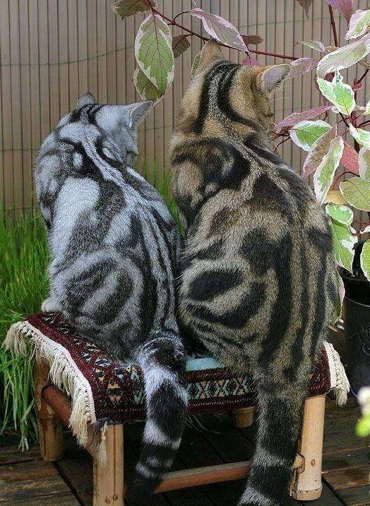 睡觉就睡觉，你掰我天线干嘛