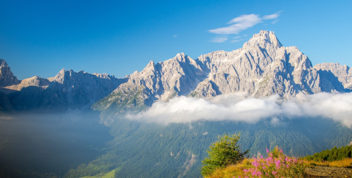 生肖|11月,眷眷之心,欲说还休,旧情相思,3生肖爱意难平,念你如初