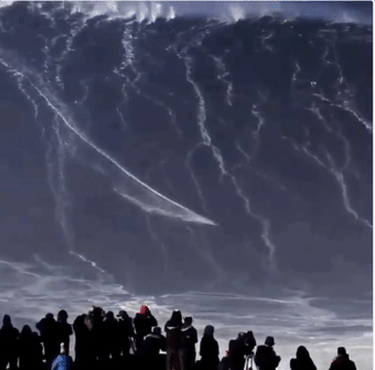 「月球」28张令人头皮发麻的图片，巨物恐惧症患者：要窒息了