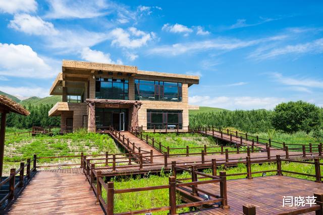 自驾|自驾七彩森林，寻找最美大草原16℃的夏天