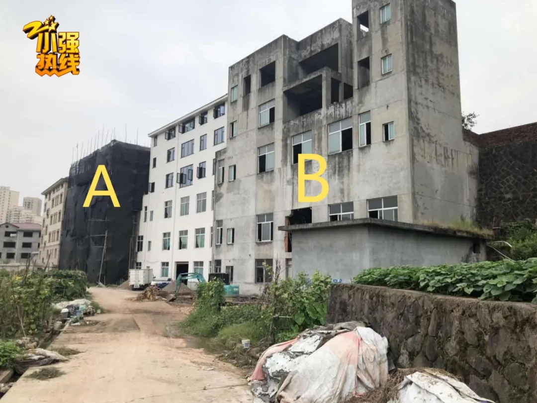 半岛晨报|男子法拍到一套别墅, 2个月后竟得知噩耗：这谁受得了? ！