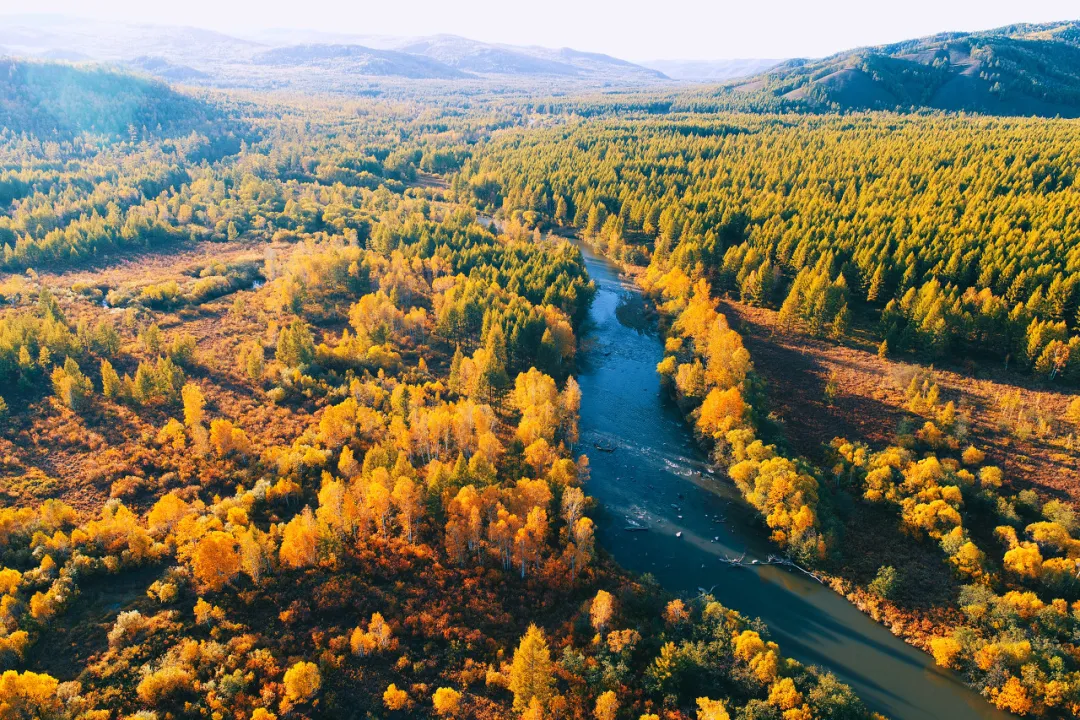 长白山|秋天的东北藏不住了，一组照片流出后，全世界都被惊艳了！