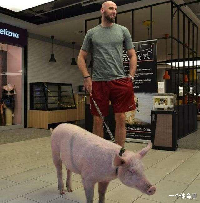 『奥尼尔』NBA球星养宠物分为5个等级，汤普森C级，奥尼尔SS级，那SSS级呢？