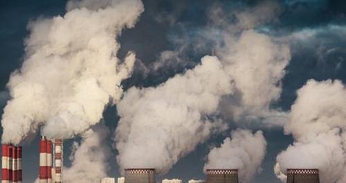 科学家|澳大利亚大火后，植被复苏，本来是好事，为什么科学家却不高兴？