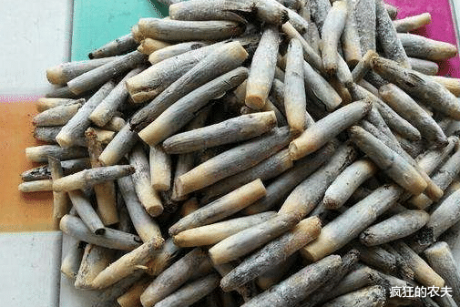 高粱|长在高粱上的稀罕菜，国内没人吃，国外比牛肉贵，被称天然黑松露