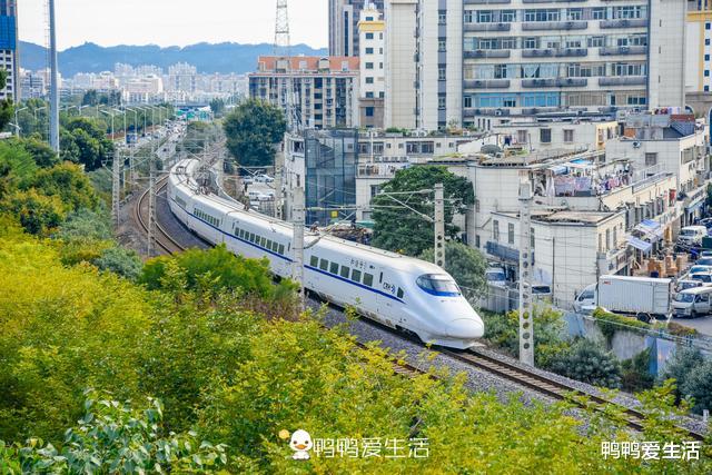 厦门▲福建“最累”的旅游步道，全长23公里架在空中，走完需一整天！