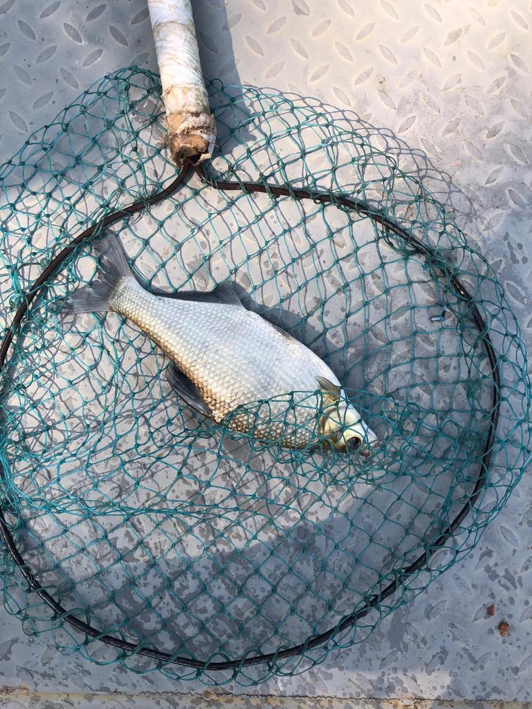 |作为钓鱼人的最后一道防线，你真的会用失手绳吗？---皇禾钓具