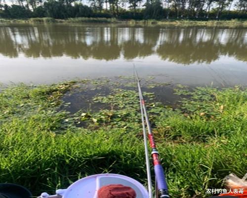 鲫鱼|秋季野钓为什么你钓不到鲫鱼？学会这两招，改变钓位和钓法上鱼多