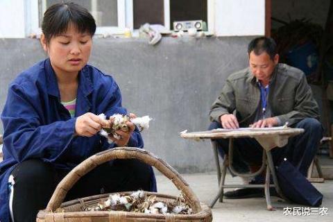 电子商务|马云：现在最好的机会就是农村，那农村以下两个行业真的能赚钱吗？