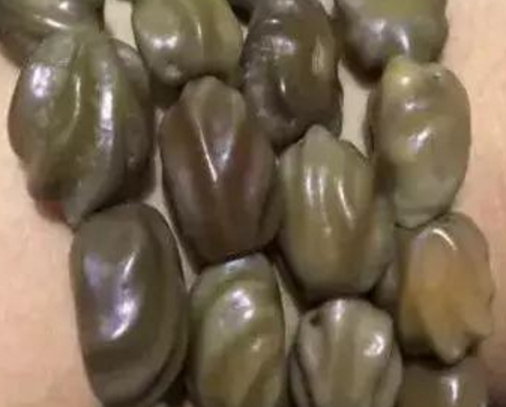 文玩@4种文玩堪称是最“丑”收藏，却有人说是高货，争先恐后的抢它