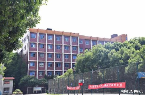 野鸡大学|四川这5所“野鸡大学”曝光！上万大学生被骗，被毁的人生谁负责