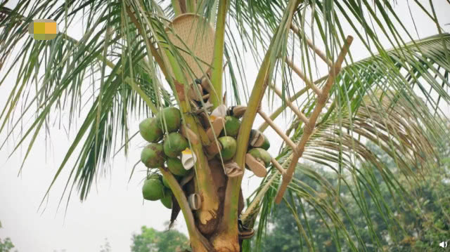 [向往的生活]?《向往的生活》被曝抄袭！大节目抄袭小网红，新一季要翻车？