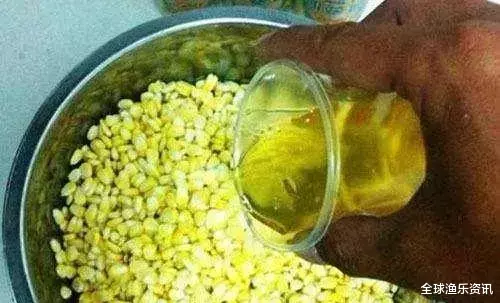 「玉米」觉得玉米钓鱼不好使？把这3点弄明白了，人人都能弯弓战巨物！