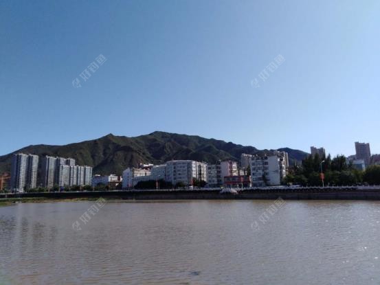 大米|拿来大米饭，鲫鱼照样赞