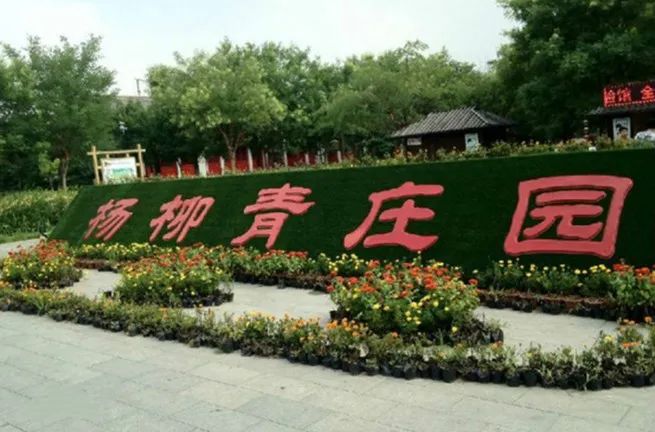 西青|解锁西青新玩儿法!单人or团体,酷夏也能尽情玩!