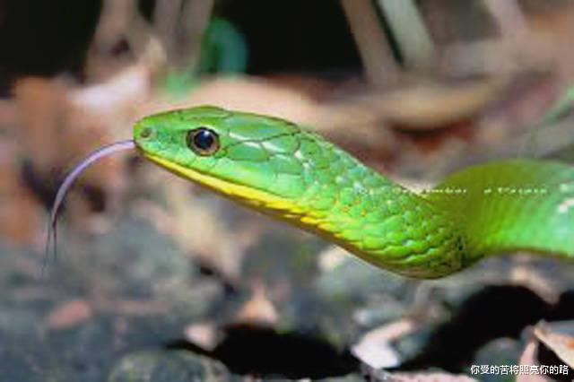 十二星座|7月中旬过后，4属相大运到来，日子越过越红火，财喜两旺