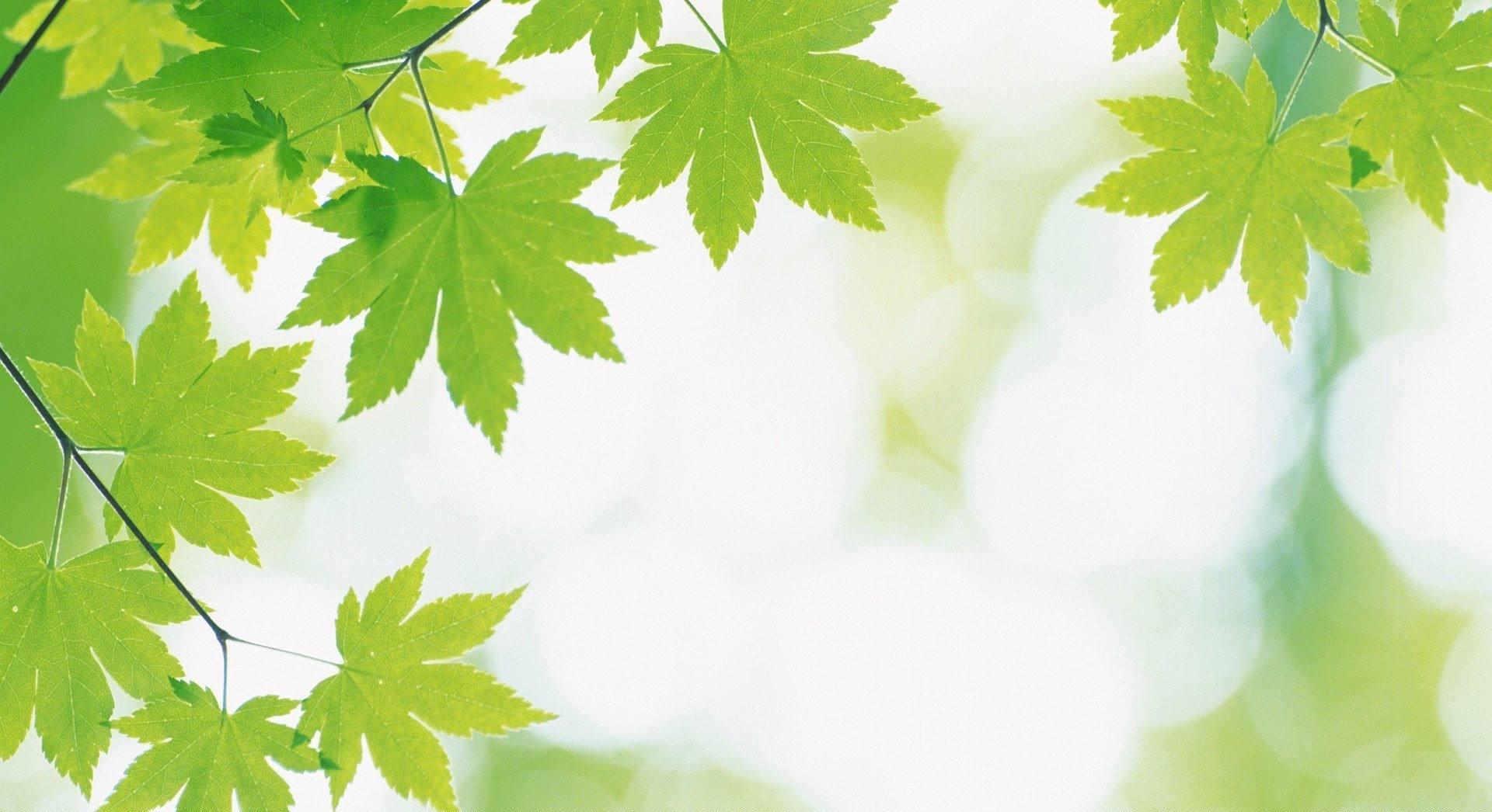 天蝎座|苦尽甘来三星座，7月了不得，8月惹不起，余生无人能比