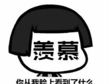 周笔畅■她活成了最令人羡慕的样子？