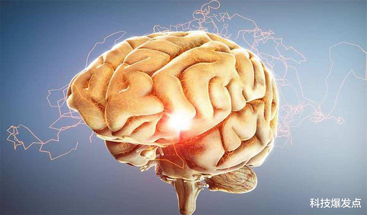 [科学家]人的意识是在何时出现的？科学家认为，可能是在人类出生之前！