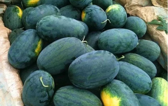 西瓜|为什么水果店的西瓜总是切开卖？原来藏着这么多猫腻，涨知识了
