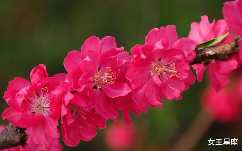 霉运:惹不起的3生肖,6月22号霉运消散,财神眷顾,票子数不完