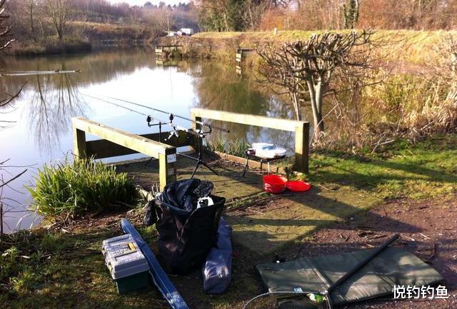 「」鱼儿靠什么吃饵?是靠饵料的颜色还是靠闻味道呢?