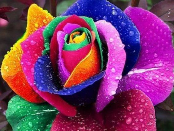 运势@“老得最慢”的3种生肖女，心态乐观不易变老，让人很羡慕