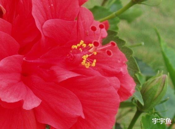 |步入9月,4属相好运不断,富贵自来,喜事连连,四季平安