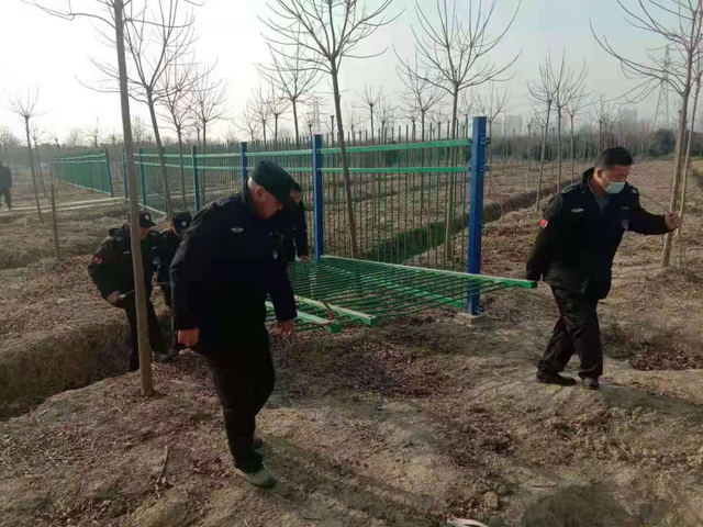 合肥|合肥首例！已经开罚！