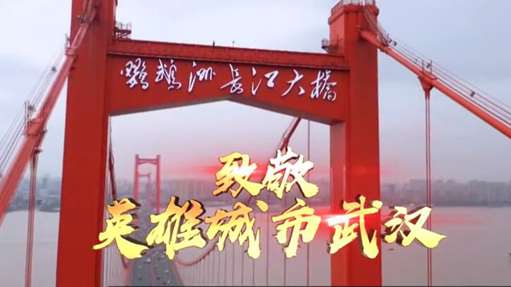 中国好声音|正式确定！《中国好声音》2020总决赛官宣来了，有4点需特别注意