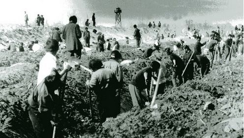 陶峙岳|他是胡宗南手下第一人，1949年却率10万国军起义，55年被授予上将