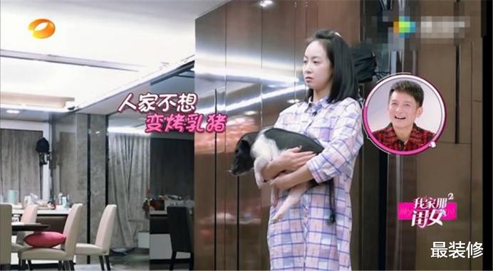 |不想生孩子,却喜欢养猪的宋茜,豪宅装修奢华,连猪都睡婴儿床