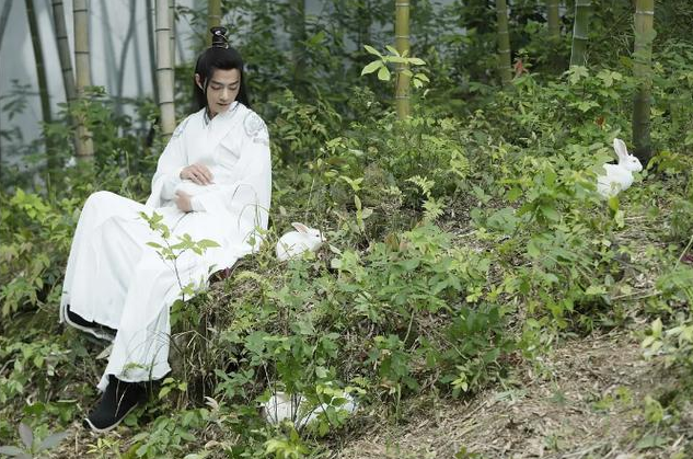 陈情令|《陈情令》再登热搜榜第一，远超《陈芊芊》，它算是经典作品吗？
