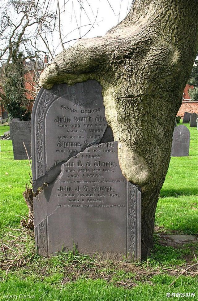 【】30个被人类遗忘的角落,遭遇大自然的反噬!