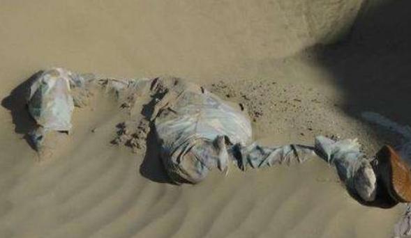 山海经|与罗布泊发现的干尸不谋而合，难道山海经不是神话，是真的？