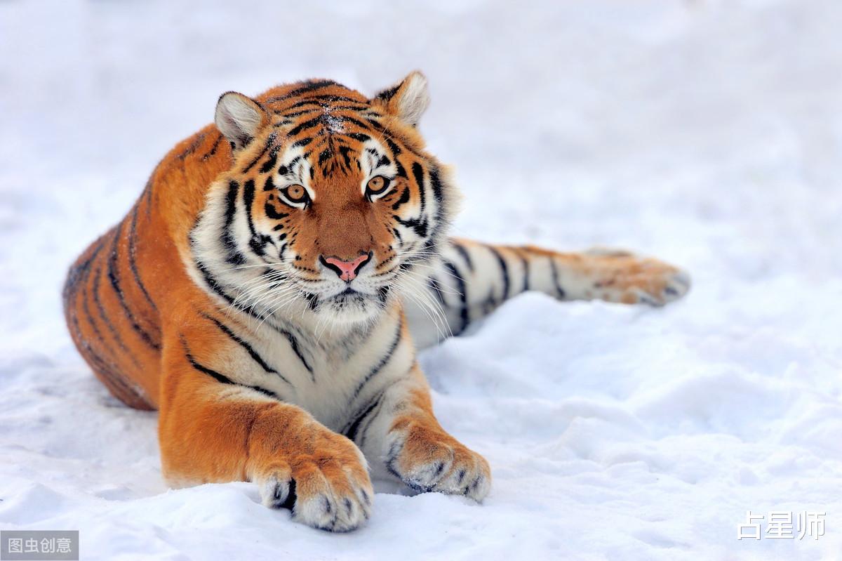 『运势』(周运)玛法达_6月10日至16日星座运势:乍喜还忧,骑虎难下