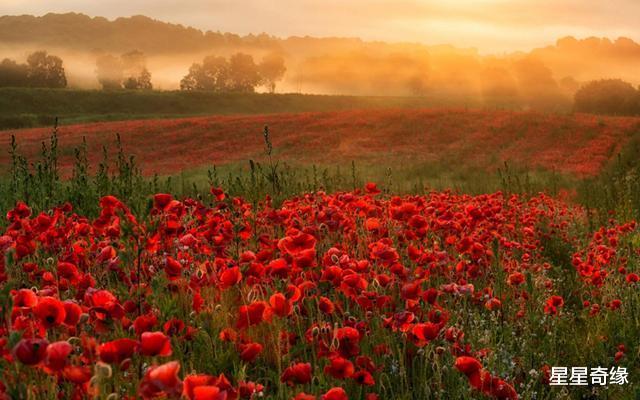 拥抱▲5月底，玉凤鸣，南飞雁，将与真爱相逢的星座：相爱相随拥抱幸福