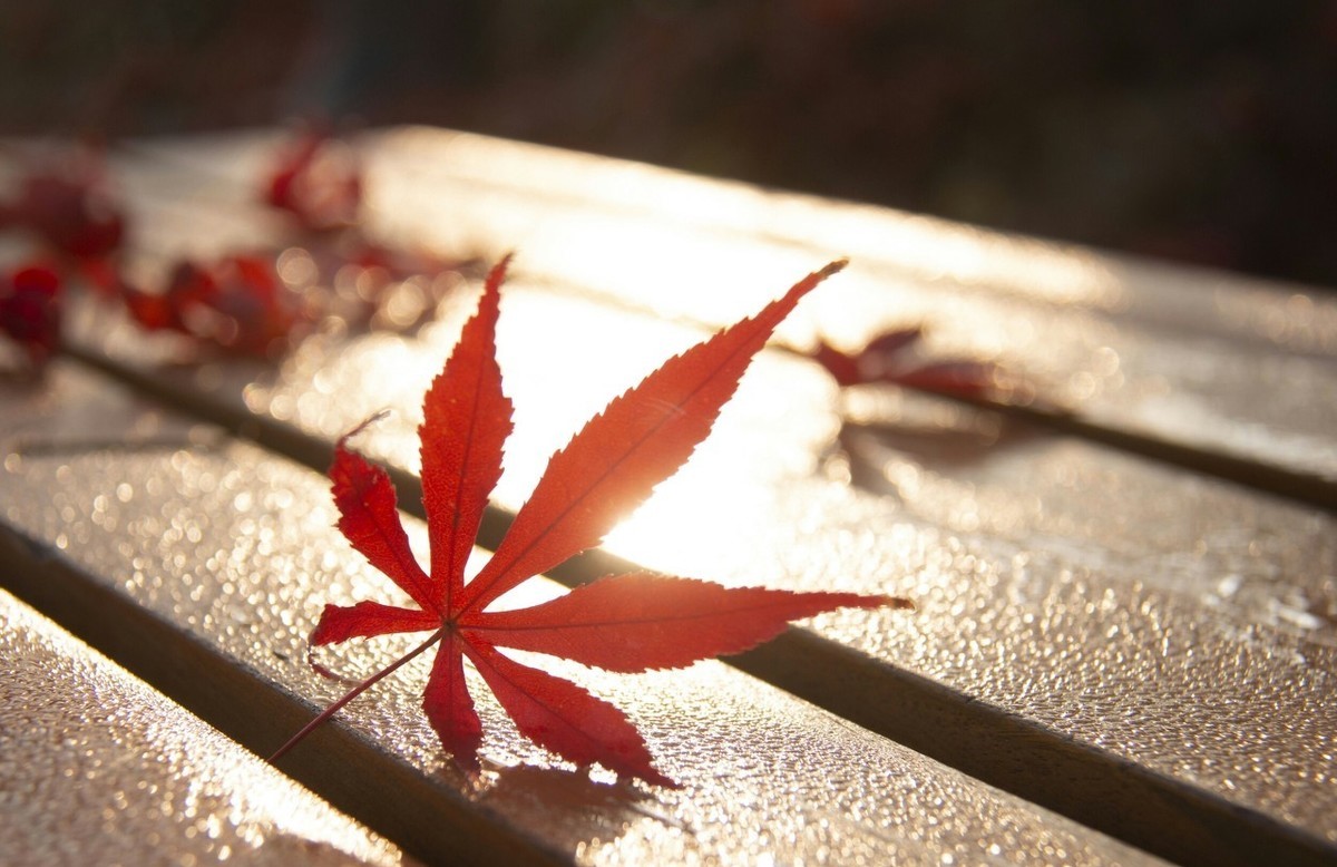 软件|新手操作京喜无货源，一对一教你上货，光速出单