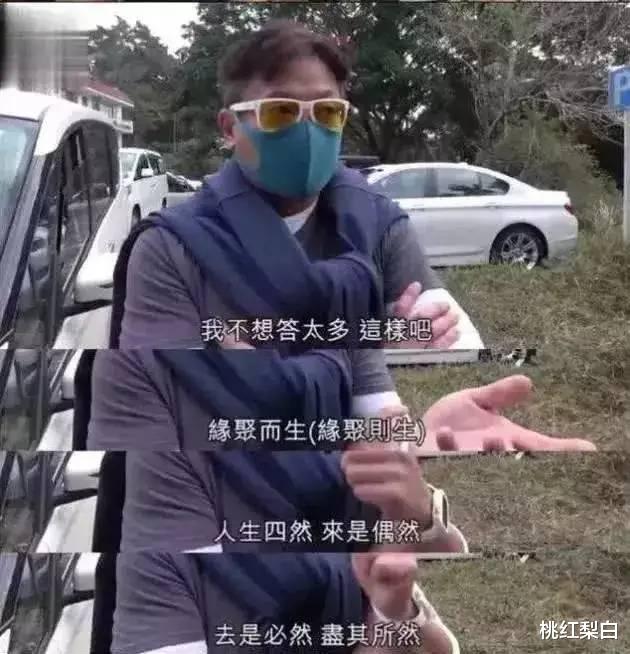 胡杏儿|当年看不上胡杏儿、佘诗曼的海王们，玩不动了就想找顾佳接盘？