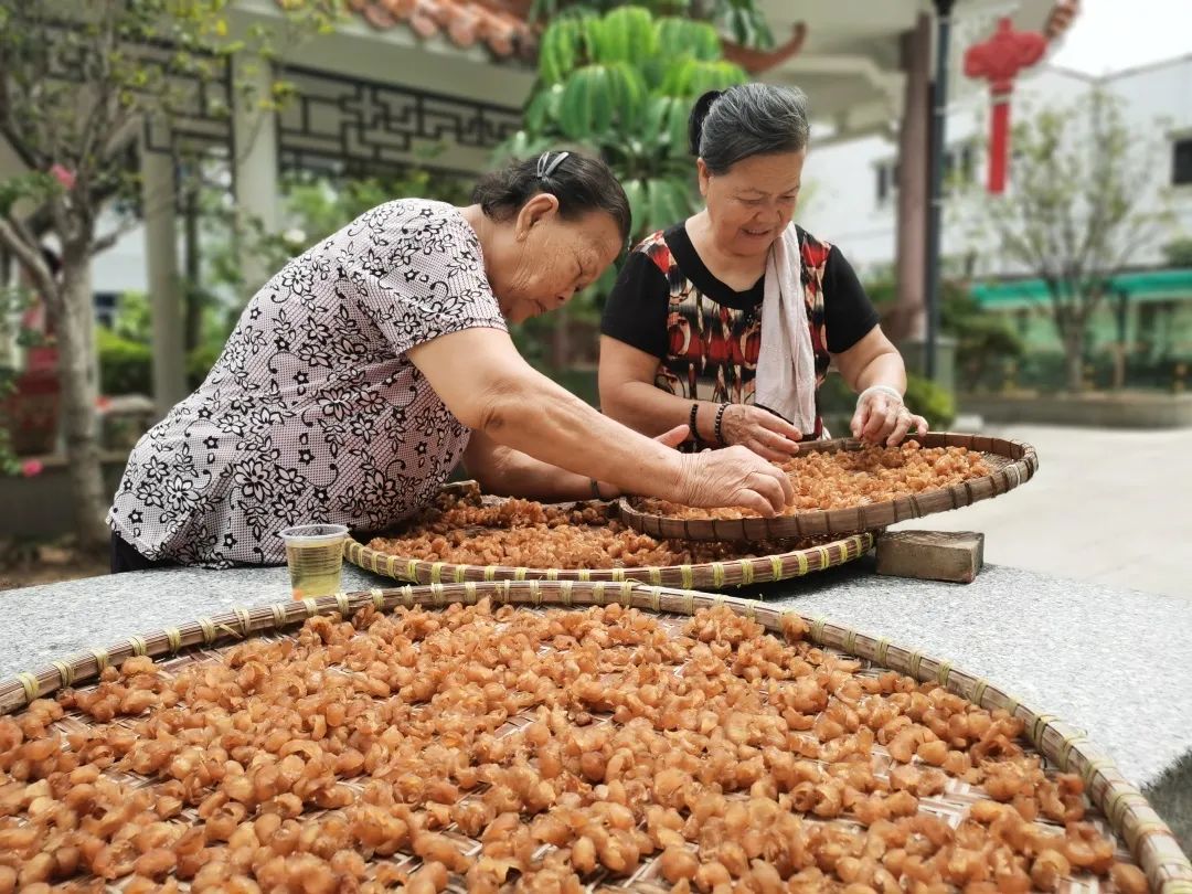 ＂原＂厚街发布|最近，厚街上空都飘着这三个字：晒龙眼！