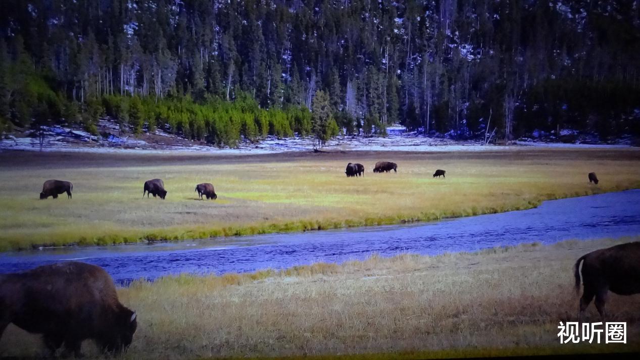 Surface|19999元的98英寸Redmi巨幕电视，在专业影音人士眼里“实力”到底如何？