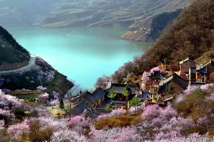 甘肃|千万别跟甘肃人吃饭