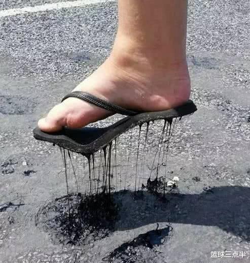 「蟒蛇」澳大利亚真是神奇的地方, 随处可见奇怪又巨大的生物, 很恐怖!