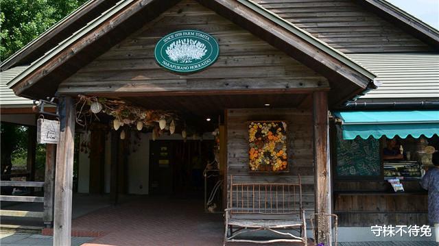 「失眠」?10个冷知识：为什么失眠时“数羊”，有什么科学依据吗