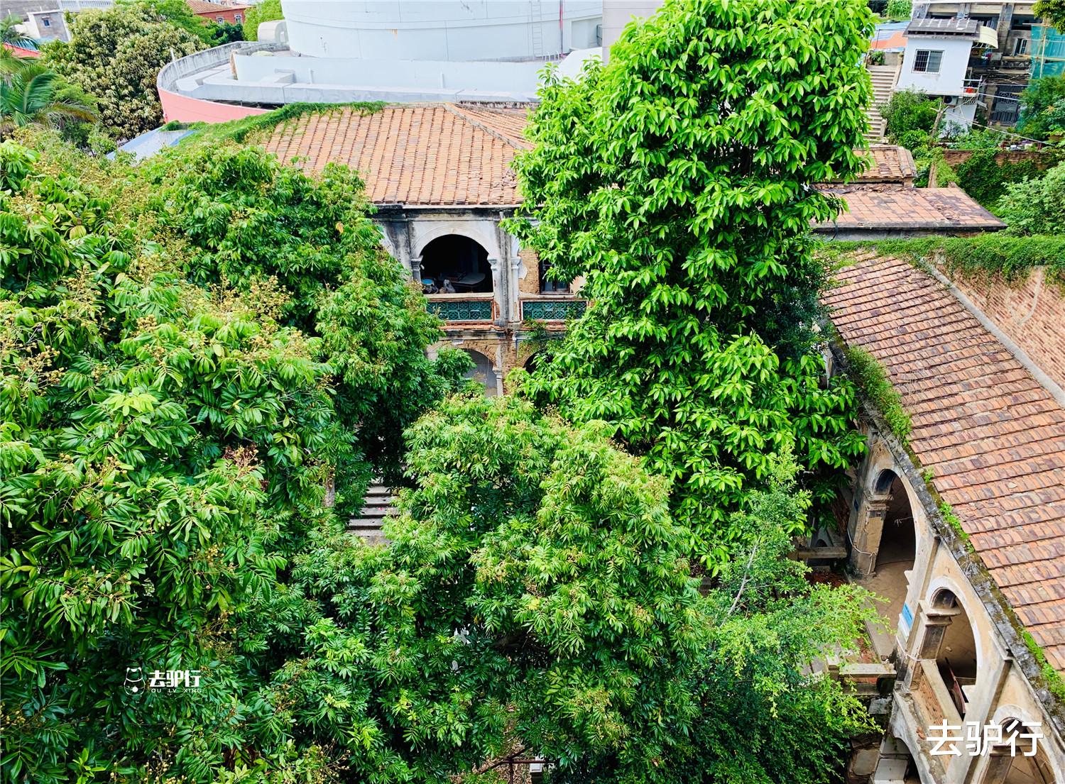 【林语堂】探访钟南山外祖父故居，家人连女婿都是名人，房产无价却一度荒废