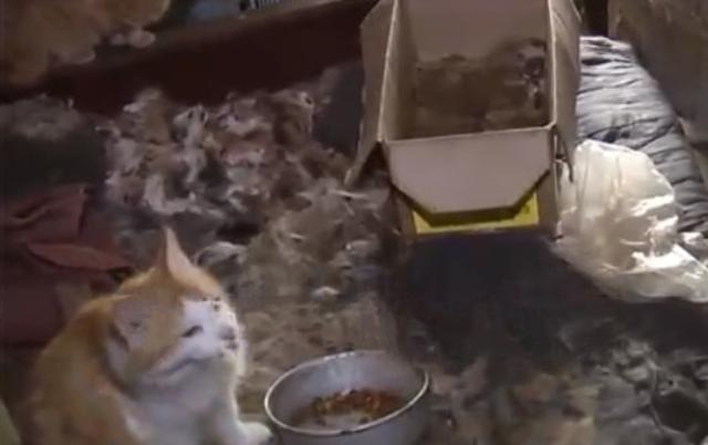 「标题党」女子从16岁开始被母亲关在家中，26年没出家门12年没洗过头