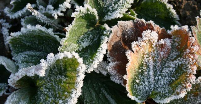 旧爱|8月底，4属相喜讯不断，福气到来，步步高升，迎来人生大吉大利