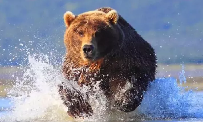 特斯拉|崩了！崩了！冷战战鼓擂，美股恐慌跌！道指狂泻807点